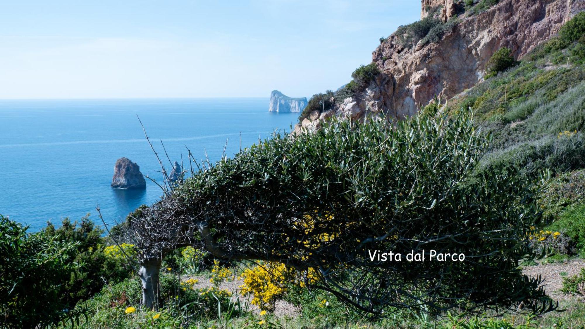 Vila Il Dolce Risveglio Tanca Piras Nebida Exteriér fotografie